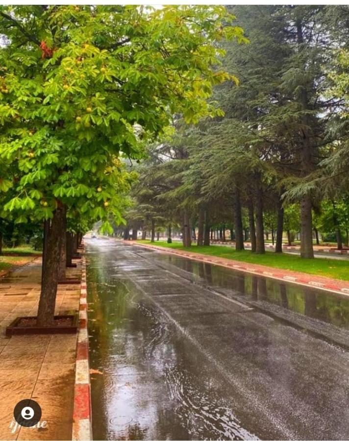 Appartement Amira Ifrane 이프란 외부 사진